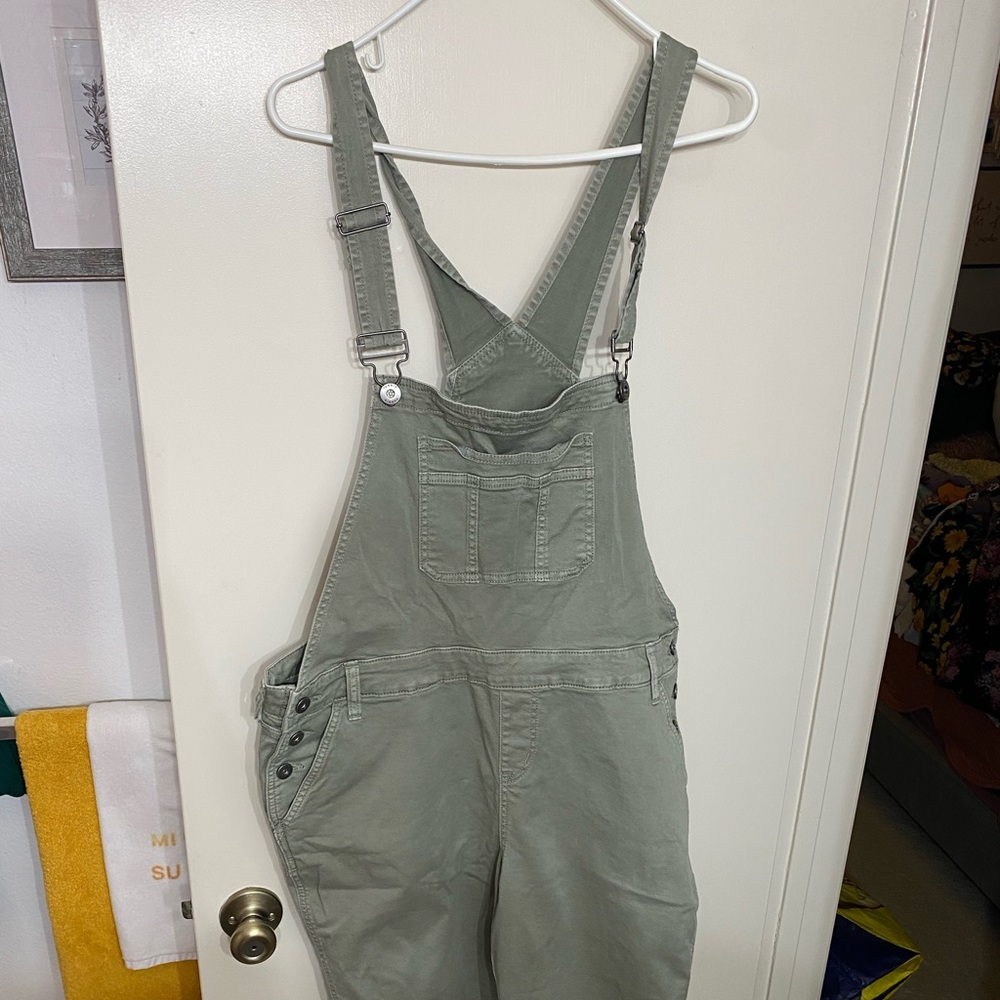 Sage Overalls